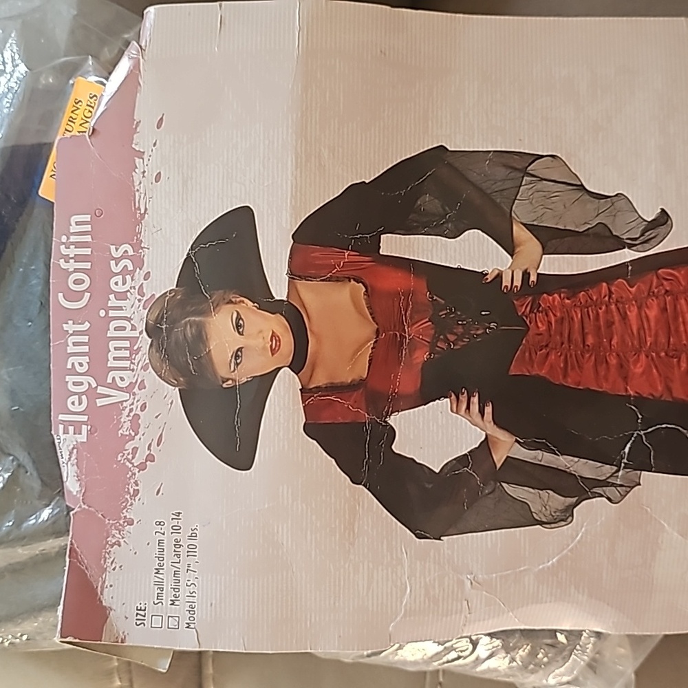Halloween costume
